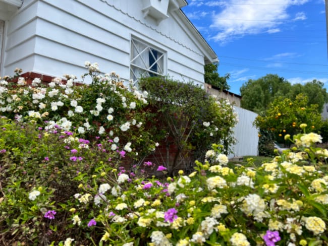 Photo - 1905 Elanita Dr