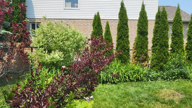 Cour vue 1, entièrement clôturée - 63 Georgian Meadows Dr Unité Main Level Legal