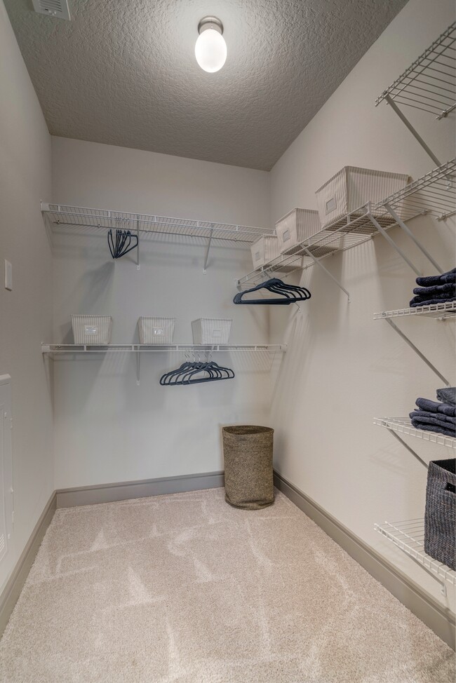 Walk-in closet (select apartments)