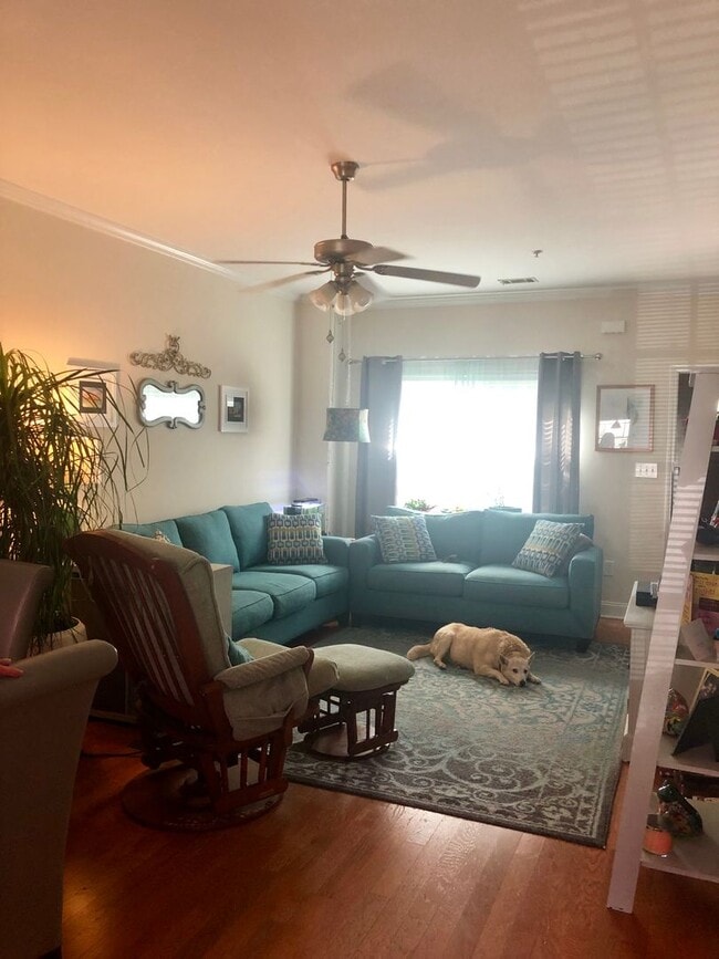 Photo - Pre Leasing / Whitehall Village