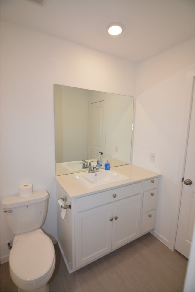 Photo - 26926 Dalmatian Bellflower Dr