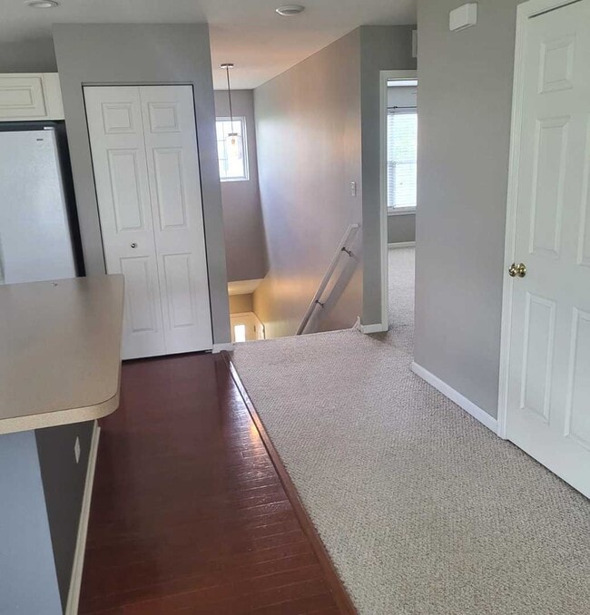 1258 Remington Dr Townhome Townhome Rental in Volo IL