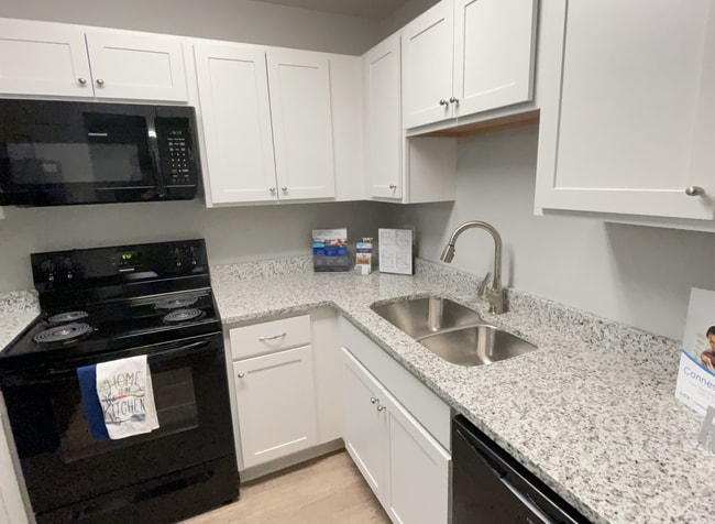 Renovated Kitchen