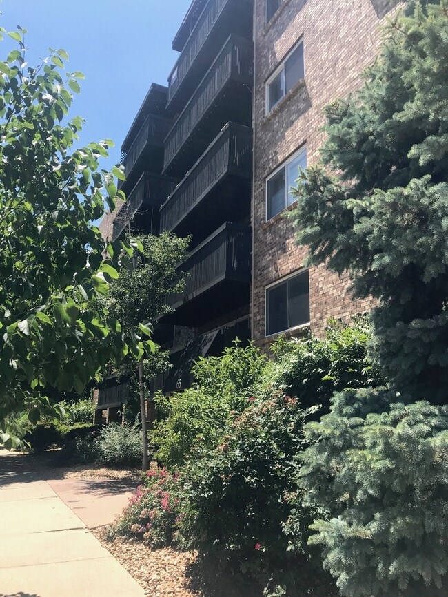 Studio Apartment in Awesome Denver Location! - Studio Apartment in Awesome Denver Location!