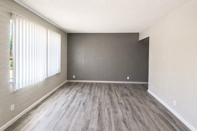 Accent wall 1