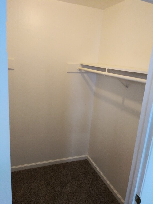 Photo - Orange Grove