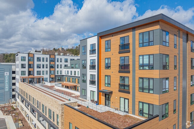 Photo - Brightview Hunt Valley Apartments