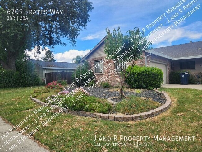 Photo - 6709 Frates Way