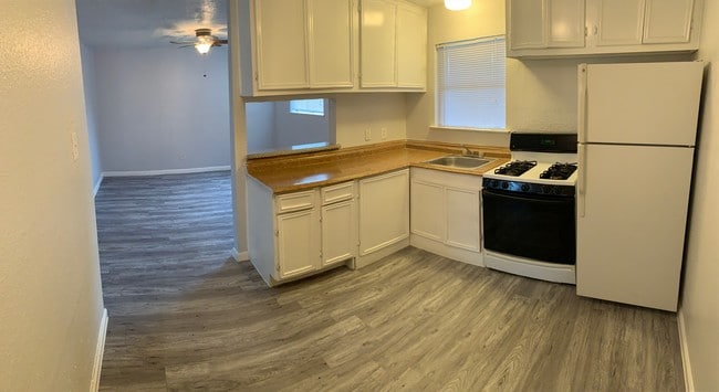 Photo - Sycamore Gardens