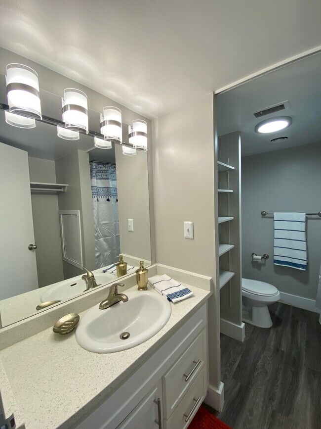 400 Maynard Apartments Ann Arbor, MI