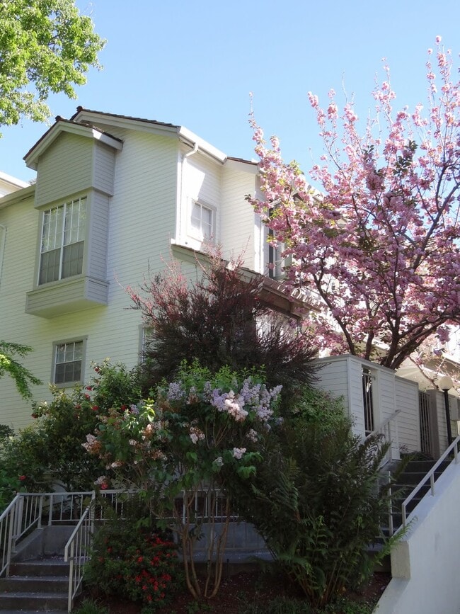 Building Photo - 964 Belmont Ter Unit 5