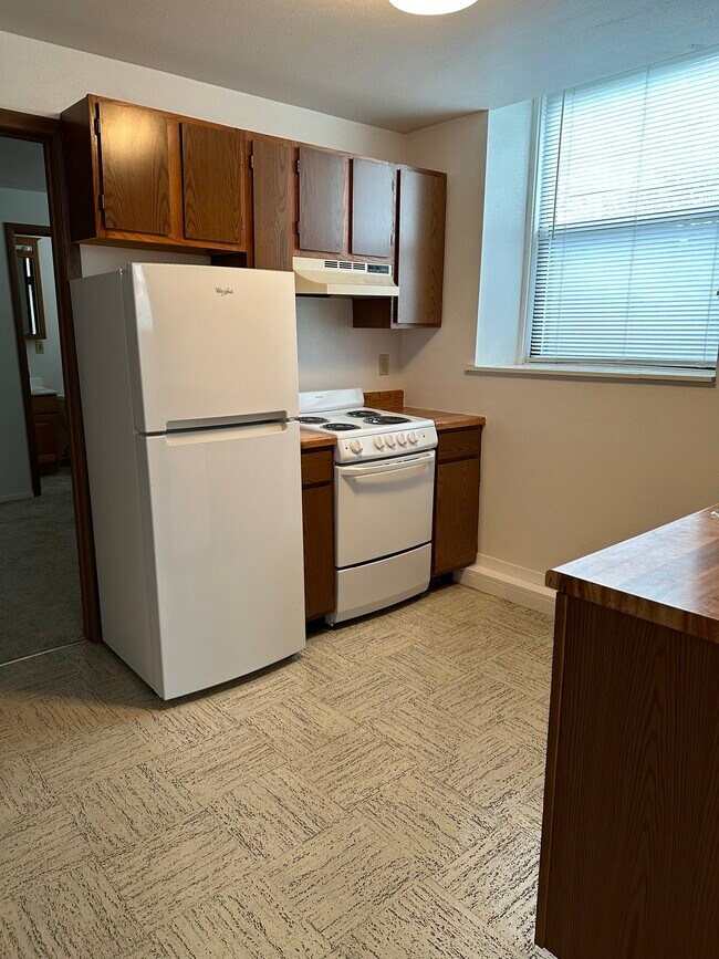 Apt 10 Kitchen - 501 W Franklin Ave