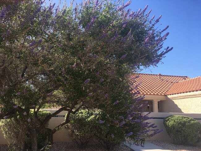 Photo - 3032 Hidden Treasure Dr