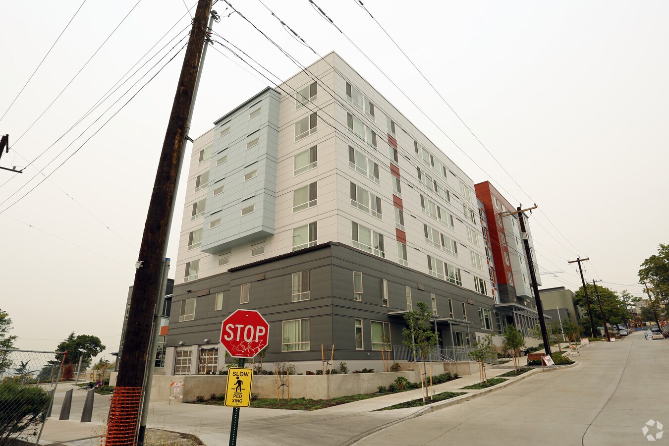 Photo - Hoa Mai Gardens