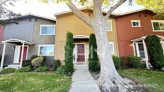 Building Photo - 532 Tyrella Ave Rental