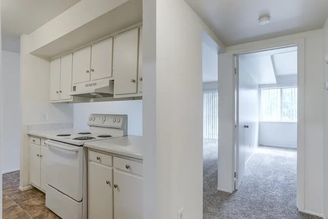 Photo - Somerset Apartments