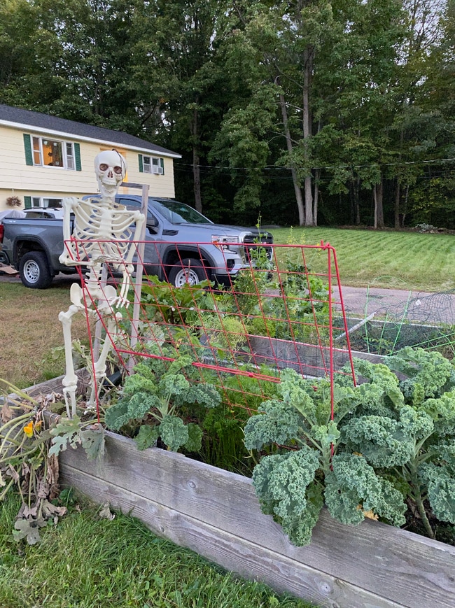 Photo - 367 Belwood Ave