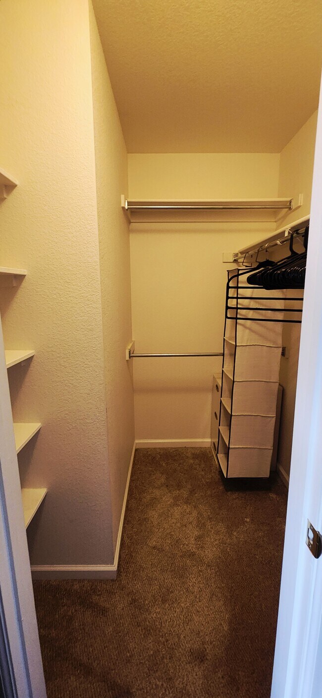 Master Closet - 976 Monroe Ave