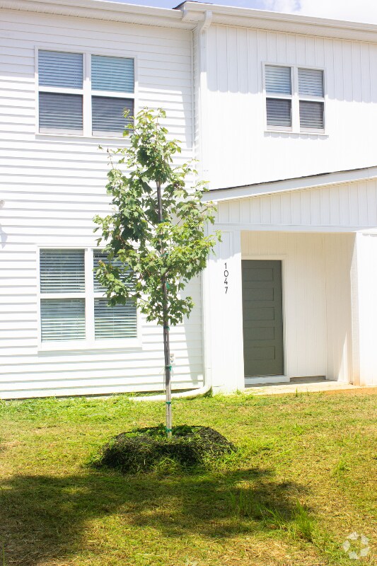 Building Photo - 1047 E Harnett St Rental