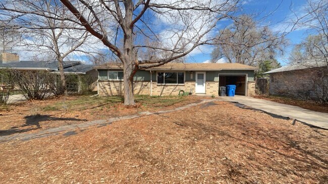 Photo - 2 Bedroom Bungalow in Fort Collins!