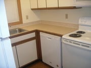 Kitchen corner with dishwasher