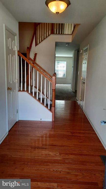 Photo - 305 Antilles Court