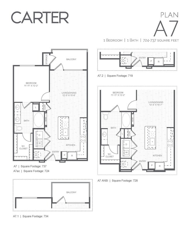Photo - Carter
