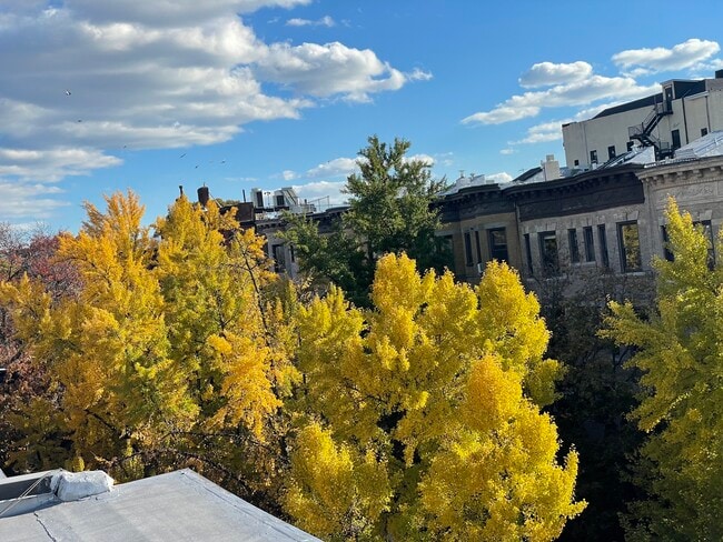 We are on a beautiful block.