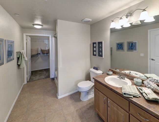 Coldwater Springs Apartments Avondale, AZ