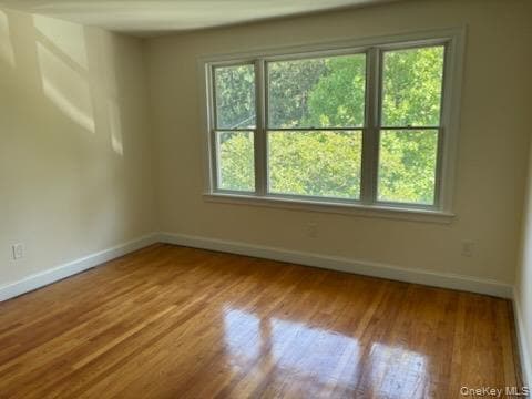 Photo - 156 Valentine St
