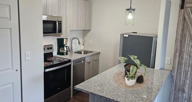 Cocinas elegantes con lavavajillas - Center Square Apartments