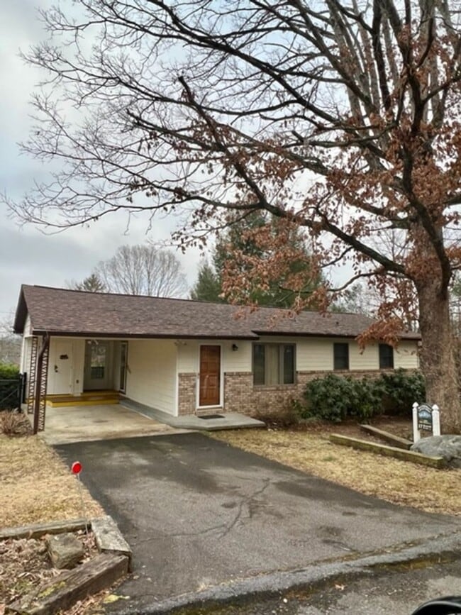 Building Photo - Black Mountain Rental