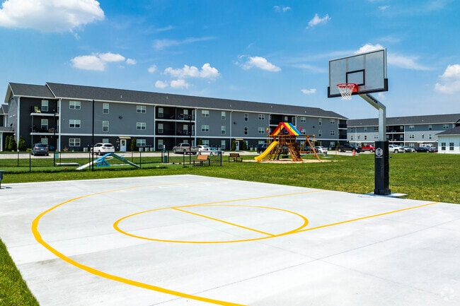 Basketball
