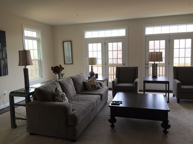 La sala de estar - 5423 Stream Bank Ln