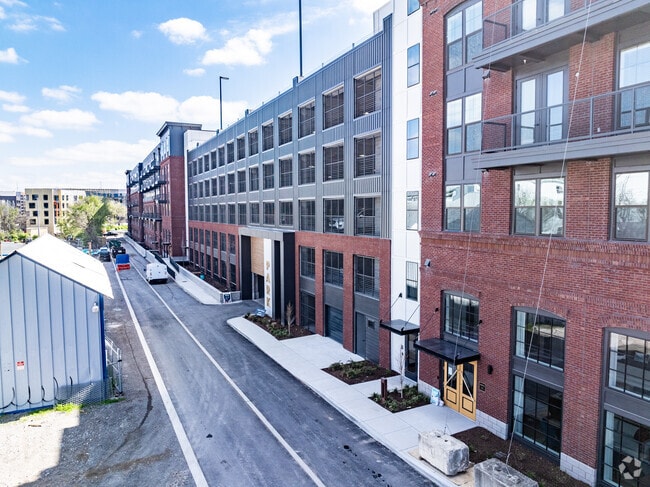 The Scottie