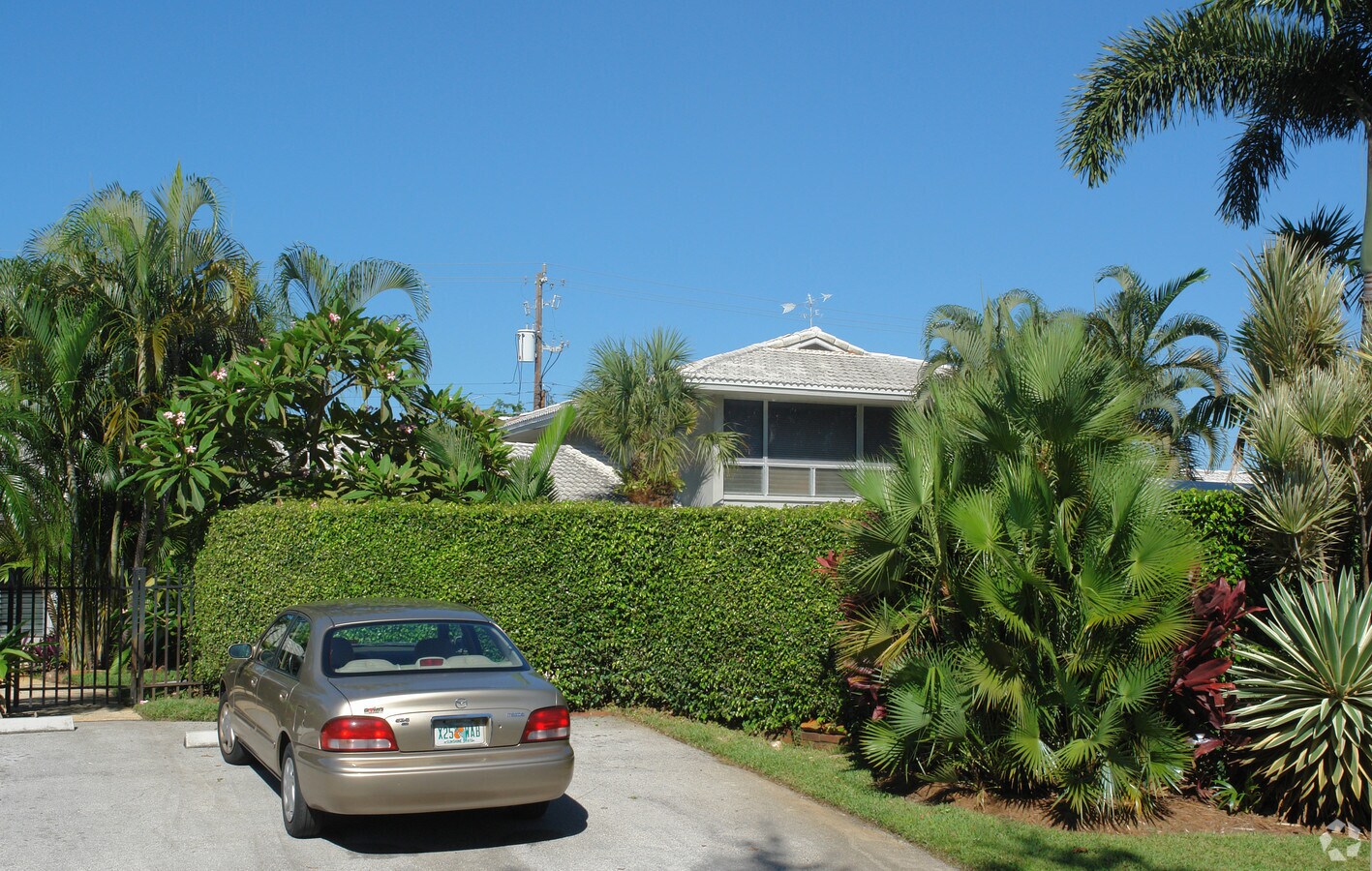 Photo - Essex Gardens