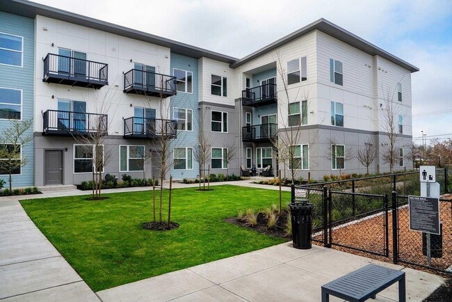 The Main Apartments