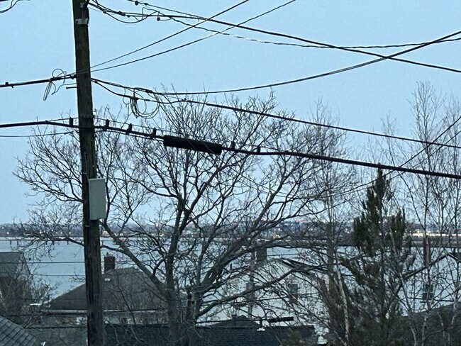 Photo - 49 R Siren St Unit 1