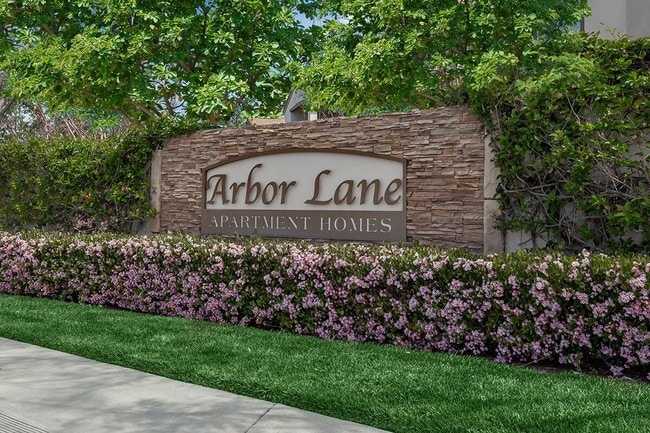 Arbor Lane Apartment Homes - Arbor Lane Apartment Homes