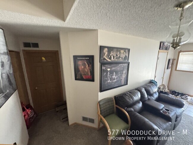 577 Woodduck Dr