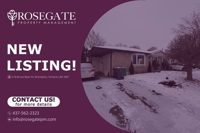 Cozy Studio Basement Apartment in Prime Brampton Location - Cozy Studio Basement Apartment in Prime Brampton Location Unit 2