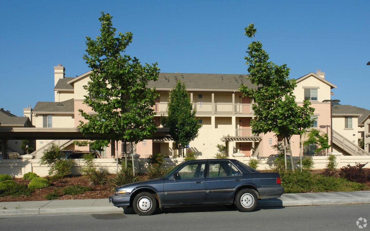 Photo - Jasmine Square