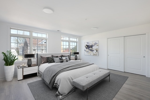 Photo - Central Park