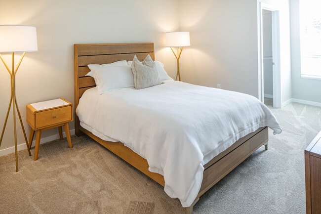 Photo - Killarney Woods