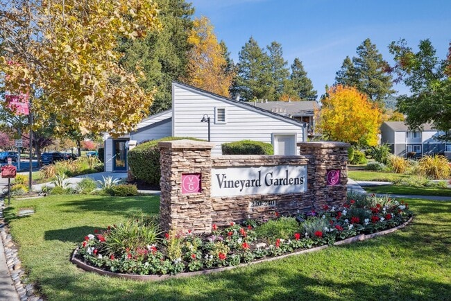 Photo - Vineyard Gardens Apartamentos