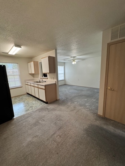 Building Photo - Eldorado Springs Rental