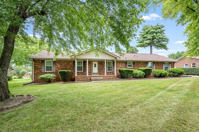 Magnolia Drive - Magnolia Drive House