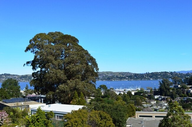 Beautifully Updated, 900 Sq Ft Sausalito C... - Beautifully Updated, 900 Sq Ft Sausalito C... Unidad 2D Rental