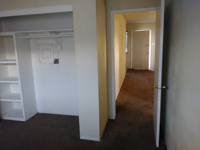 Photo - Chicago Apartments