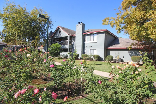 Lakes Gardens Apartments For Rent In Lodi Ca Forrent Photo Lakes Gardens Apartments